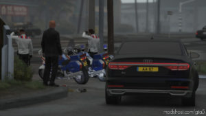 GTA 5 Vehicle Mod: Audi A8 Stretched, Royal Dutch Family Els V1.1 (Image #6)