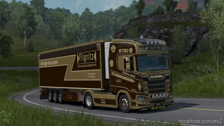 ETS2 Scania Skin Mod: Flignitz Special Paintable (Featured)