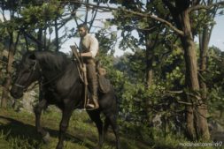 RDR2 Script Mod: Horse Holster (Image #3)