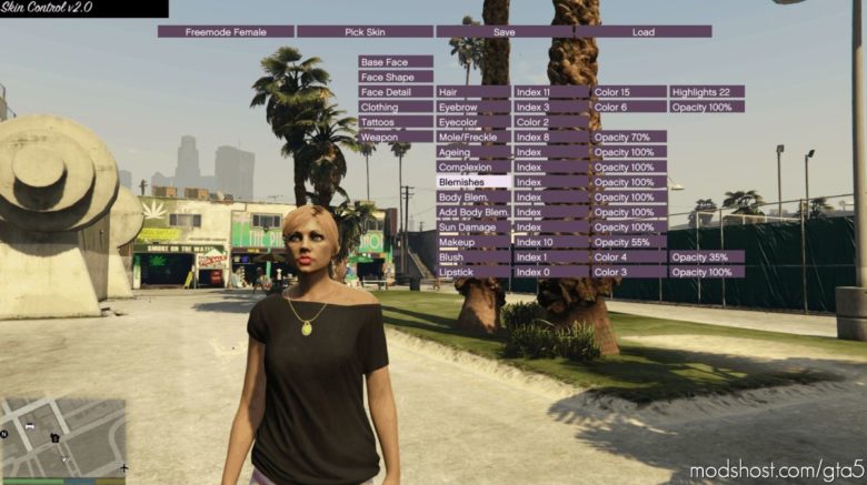 GTA 5 Tool Mod: Skin Control Source Code (Featured)