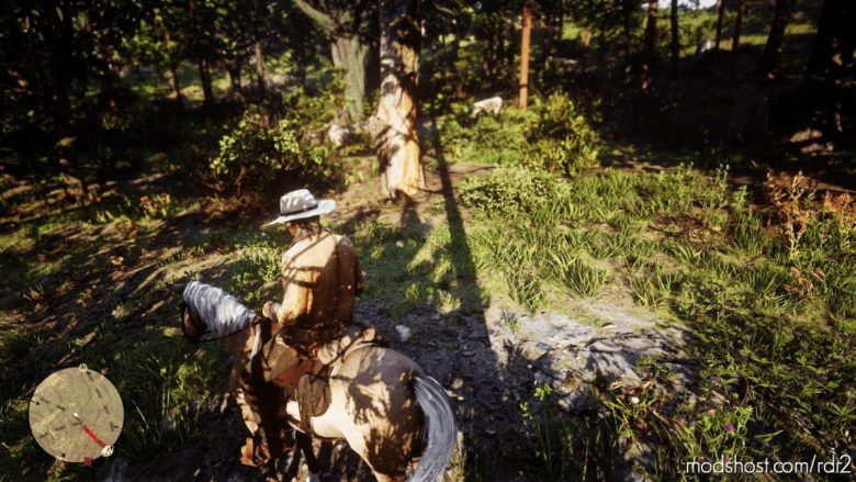 RDR2 ReShade Mod: Redshade (Featured)