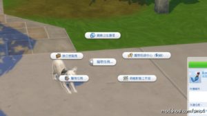 Sims 4 Mod: PET Assignments & PET Jobs | NEW Rabbit Holes For Pets (Image #2)