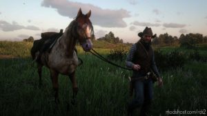 RDR2 Save Mod: Marston Free Roam Deluxe (Image #5)