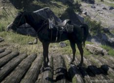 RDR2 Script Mod: Horse Lantern (Image #2)