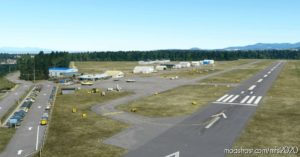 MSFS 2020 Canada Mod: Cat4_Qualicum Beach Airport (Image #4)