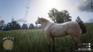 RDR2 Mod: Online Horses (Image #9)