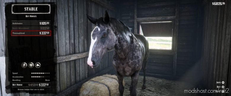 RDR2 Mod: Dappled Black Thoroughbred (Featured)