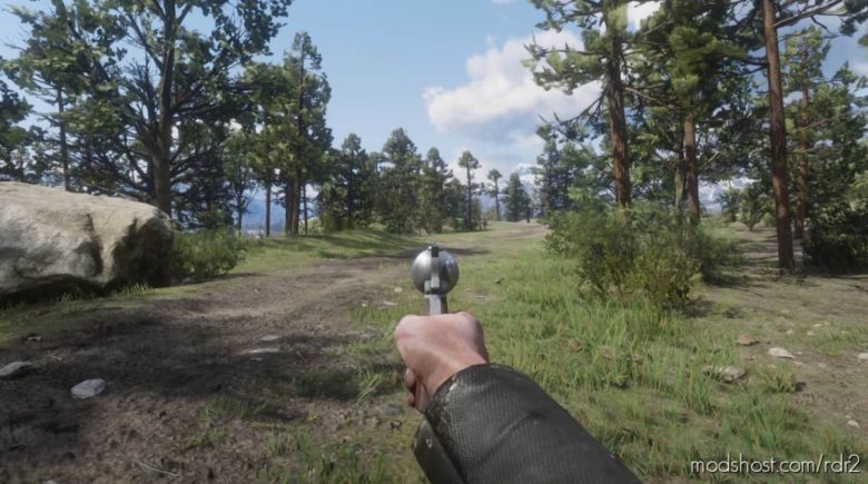 RDR2 Effect Mod: First Person AIM (Featured)