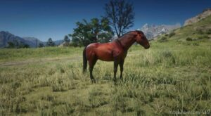 RDR2 Mod: Mustangs (Featured)