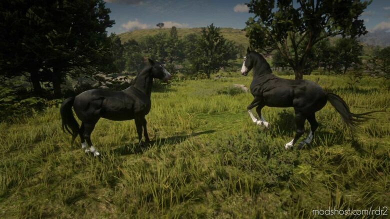 RDR2 Mod: Dark Horse (Featured)