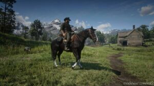 RDR2 Mod: American Quarter Horse (Featured)