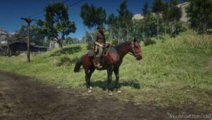 RDR2 Mod: Tennessee Walkers (Image #3)