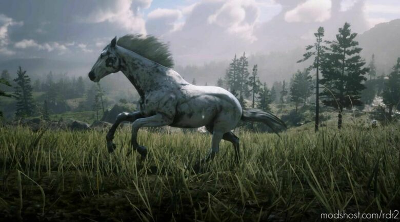 RDR2 Mod: Appaloosa (Featured)