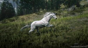 RDR2 Mod: Appaloosa (Image #2)