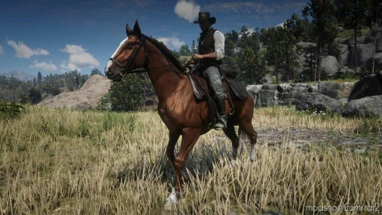 RDR2 Mod: Dutch Warmblood (Featured)