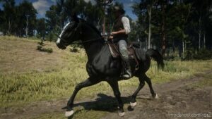 RDR2 Mod: Dutch Warmblood (Image #6)