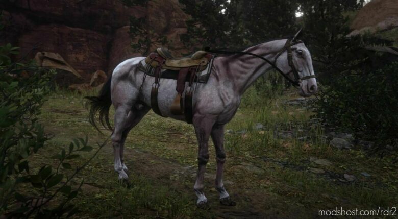 RDR2 Mod: Scrawny NAG (Featured)