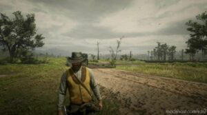 RDR2 Mod: Clearvision Reshade For RDR2 (Image #3)