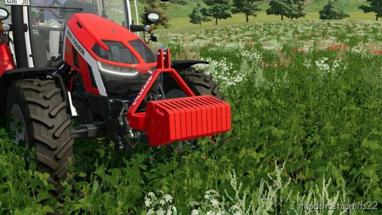 FS22 Weight Mod: Lizard CSW300 300KG (Featured)