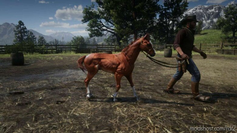 RDR2 Mod: Foal (Featured)