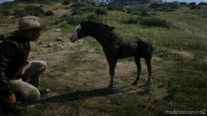 RDR2 Mod: Foal (Image #3)