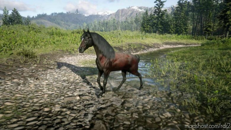 RDR2 Mod: RED Dead Arabian (Featured)