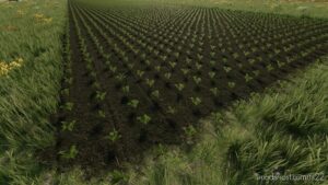 FS22 Script Mod: Grow NOW V1.0.5 (Image #3)