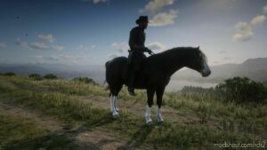 RDR2 Mod: Welsh Pony And COB (Image #2)