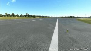 MSFS 2020 Argentina Airport Mod: Sare – Aeropuerto Internacional DE Resistencia V0.1 (Image #2)