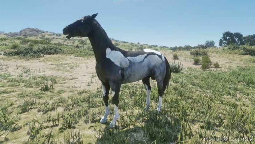 RDR2 Mod: Horse – Pinto Blue Fade (Featured)