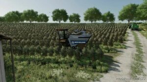 FS22 Map Mod: LA Coronella (Image #4)