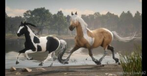 RDR2 Mod: Chincoteague Pony Pack (Image #2)