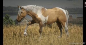 RDR2 Mod: Chincoteague Pony Pack (Image #3)