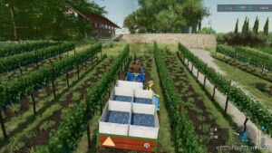 FS22 Mod: Vine Hand Harvest Trailer V1.0.1 (Image #4)