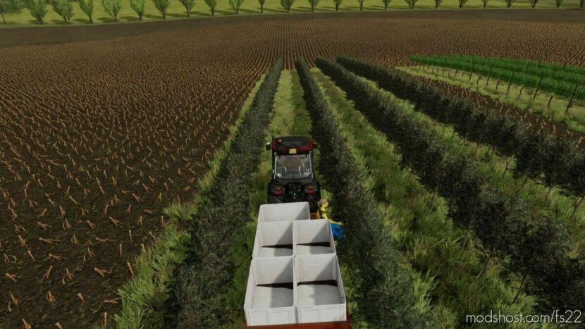 FS22 Mod: Vine Hand Harvest Trailer V1.1 (Featured)