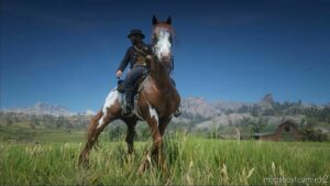 RDR2 Mod: Feathered Appaloosa (Image #3)