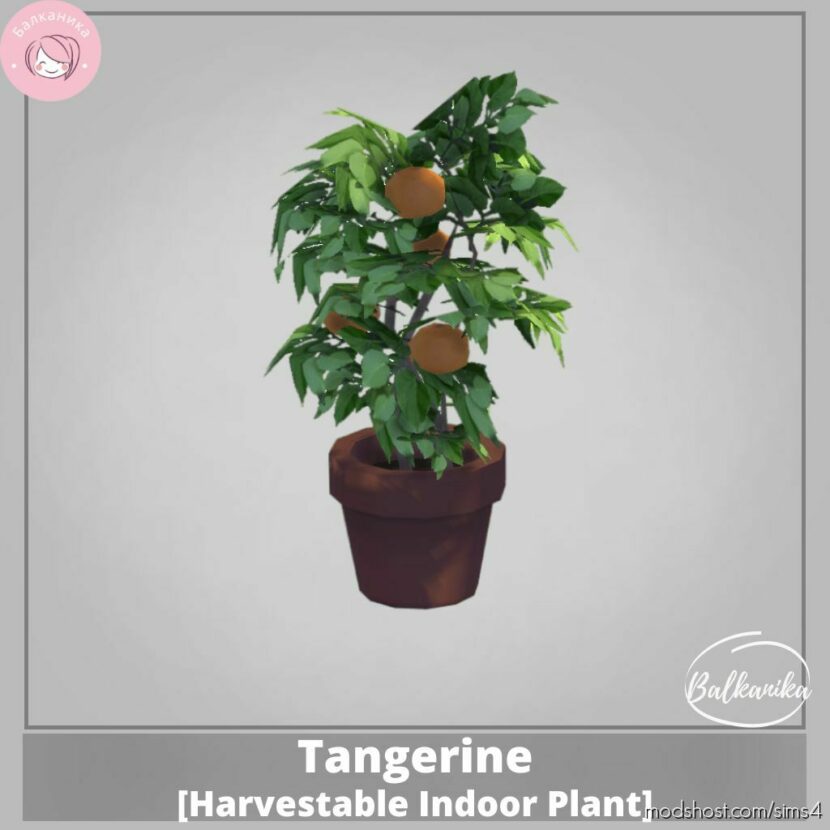 Sims 4 Object Mod: Tangerine Harvestable Indoor Plant (Featured)