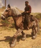 RDR2 Transport Mod: CUT Horse Coats Restored (Image #4)