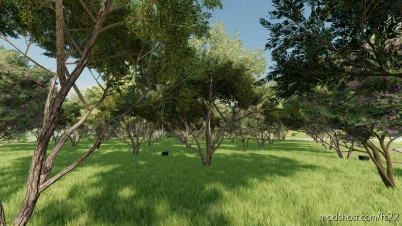 FS22 Placeable Mod: Fruit Orchard V2.0 (Featured)