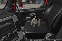 ETS2 Part Mod: Seat Companions Pack v1.4 (Image #3)