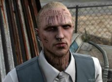 GTA 5 Player Mod: Normals Piercings Pack For MP Male And Female V2.0 (Image #4)