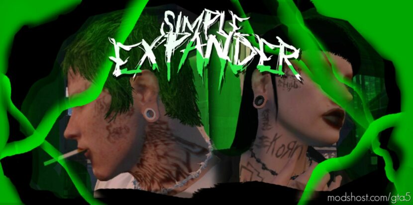 GTA 5 Player Mod: Simple EAR Expander For MP Male And Female (Featured)