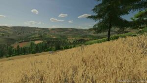 FS22 Mod: Poland Map V0.9 (Image #9)