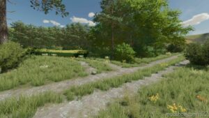 FS22 Mod: Poland Map V0.9 (Image #12)