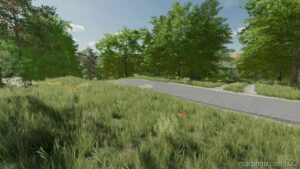 FS22 Mod: Poland Map V0.9 (Image #16)