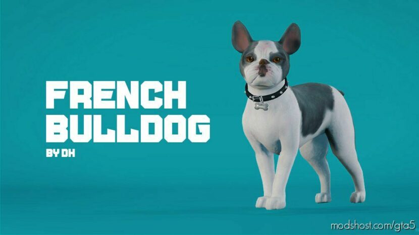 GTA 5 Player Mod: French Bulldog Addon/Replace (Featured)