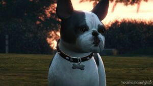 GTA 5 Player Mod: French Bulldog Addon/Replace (Image #2)