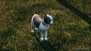 GTA 5 Player Mod: French Bulldog Addon/Replace (Image #3)