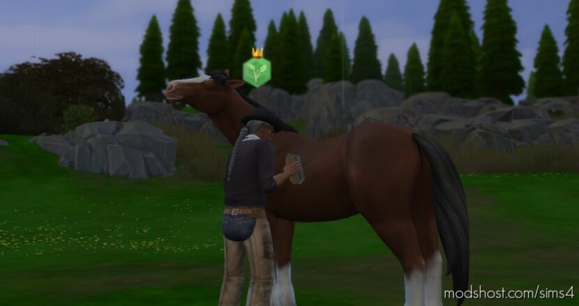 Sims 4 Mod: "Care for Animals" club activity includes Horse Ranch interactions (Featured)