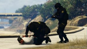 GTA 5 Player Mod: Swedish Police V3.0 (Image #5)